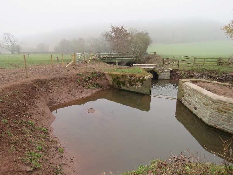 Herefordshire Wildlife image