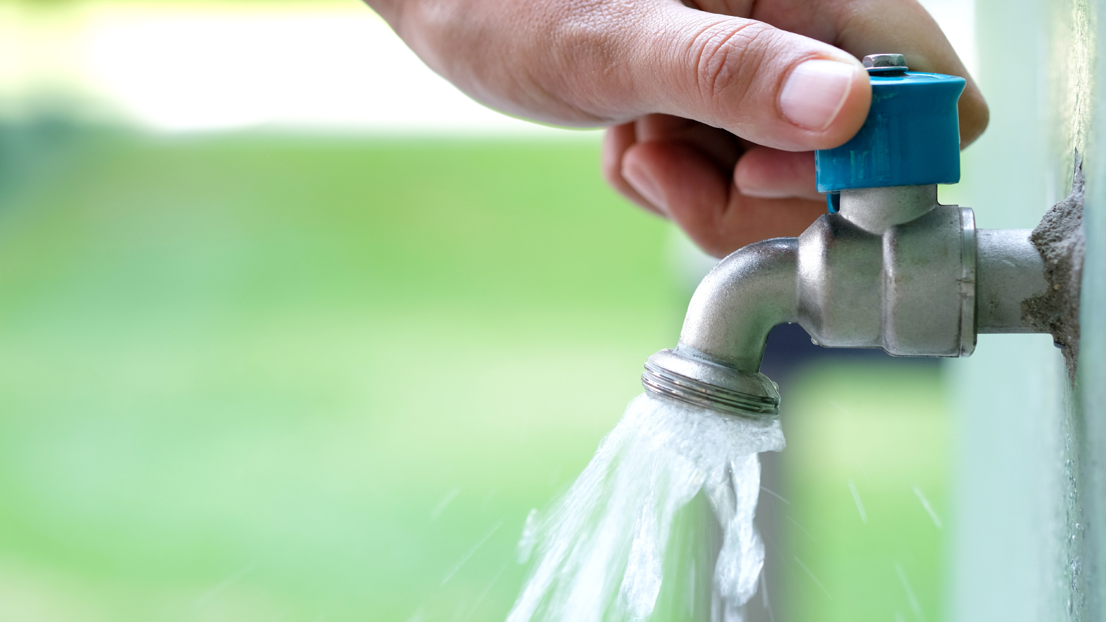 Water saving week article