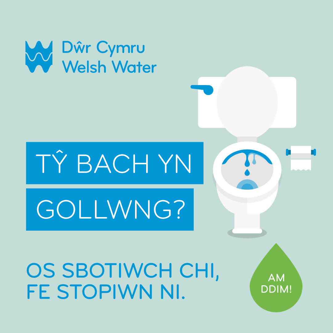 tŷ bach yn gollwng? Os sbotiwch chi, fe stopwn ni