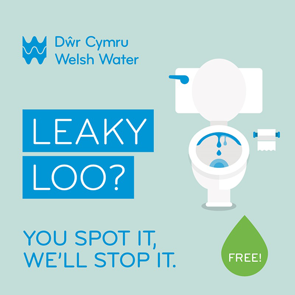 Leaky loo
