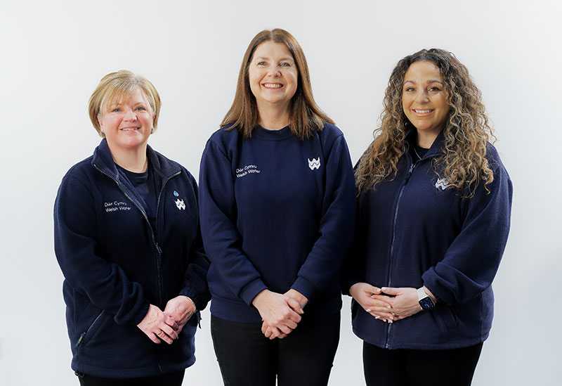 Promotions Team