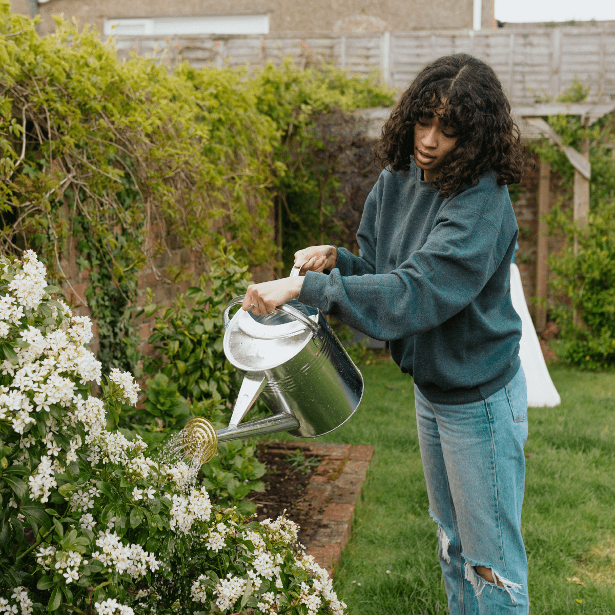 Garden image
